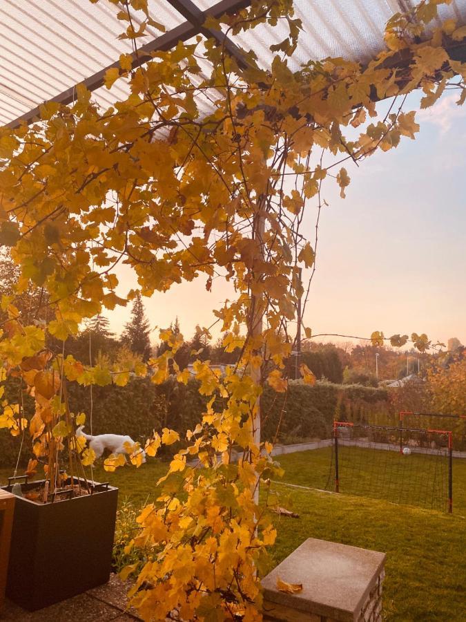 Hatzels Haeuschen Zirndorf Exteriör bild
